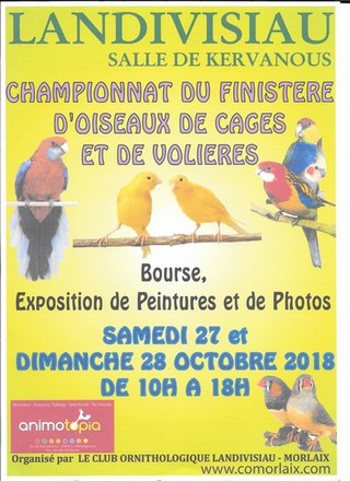 Championnat du Finistère des Oiseaux 2018