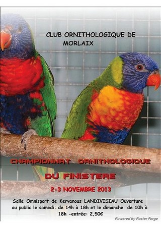 Championnat du Finistère des Oiseaux 2013