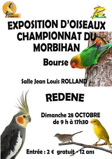 Championnat du Morbihan des Oiseaux 2018