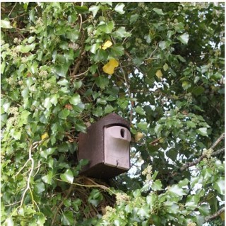 Nichoirs en béton de bois