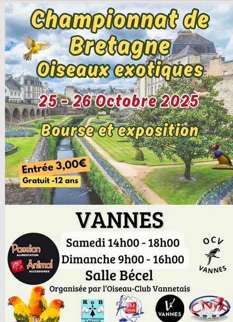 Championnat de Bretagne des Oiseaux 2025
