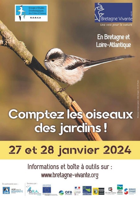 comptage oiseaux du jardin