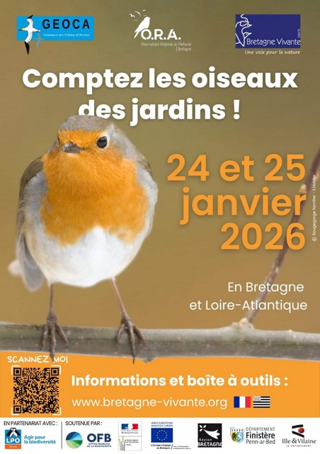 comptage oiseaux du jardin
